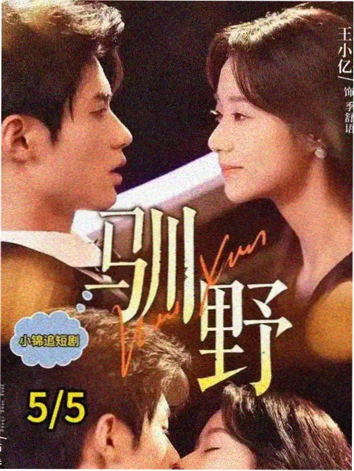 爱恋 未删减版封面